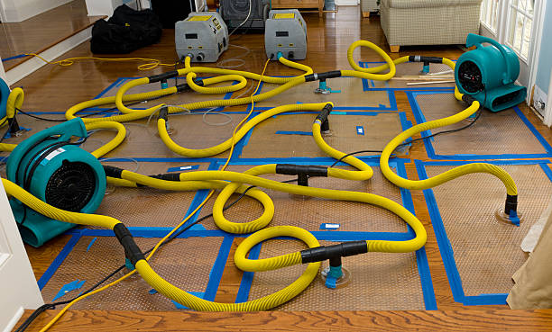 Professional Emergency Water Removal technician working in Latham, OH